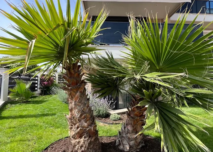 Galatea Apartamento *